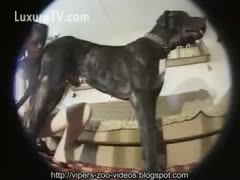 A big, black dog gets raped by a goth girl.